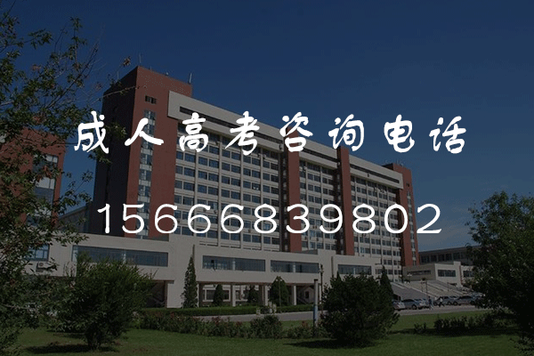 2024年临沂成人高考考几天？