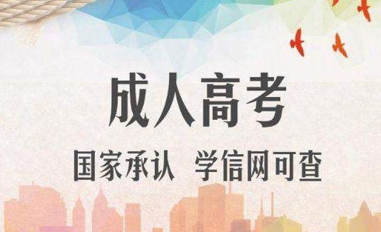 2024年临沂成考专升本报考流程