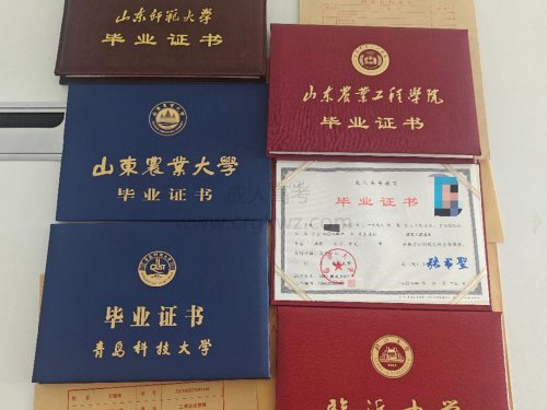 成人高考帮你多元化发展！