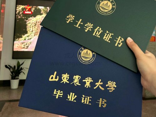 深度解析：预报名，为何不可或缺